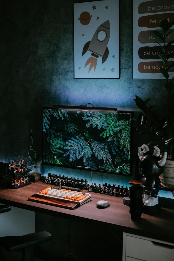 Découvrez des affiches murales accessibles pour chaque style